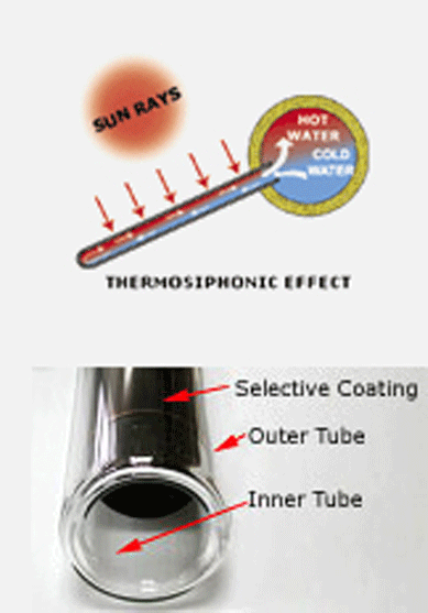 Thermosiphonic