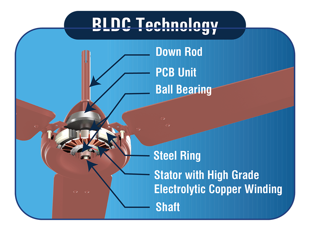 vector-bldc-feature