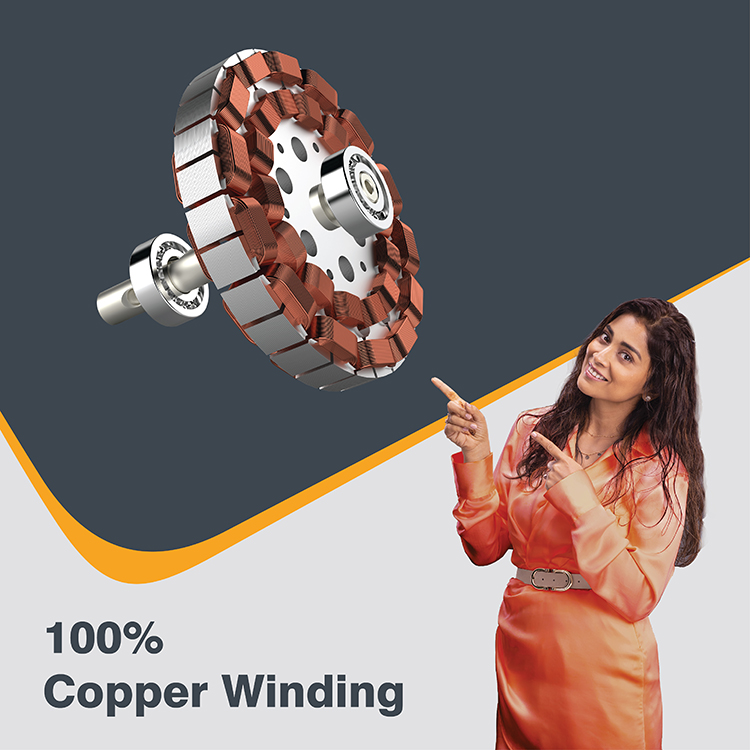 Zapper - Ceiling Fan - ZC1200mm